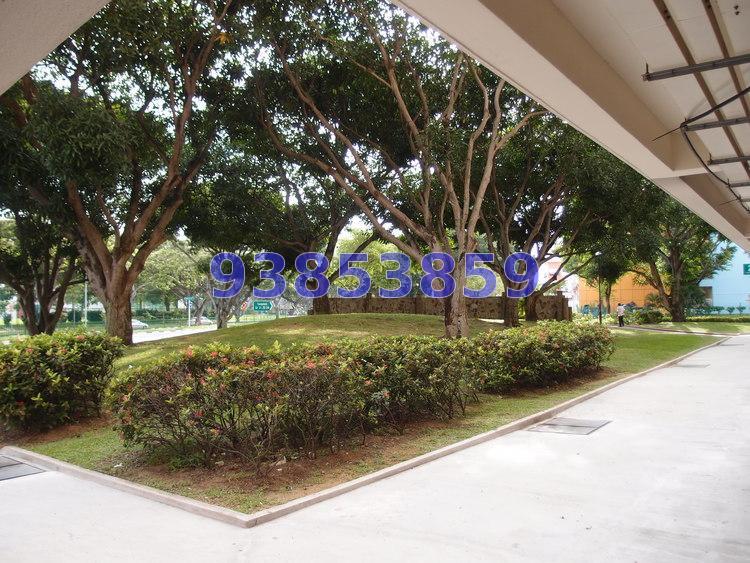 Blk 206 Tampines Street 21 (Tampines), HDB 3 Rooms #161668792